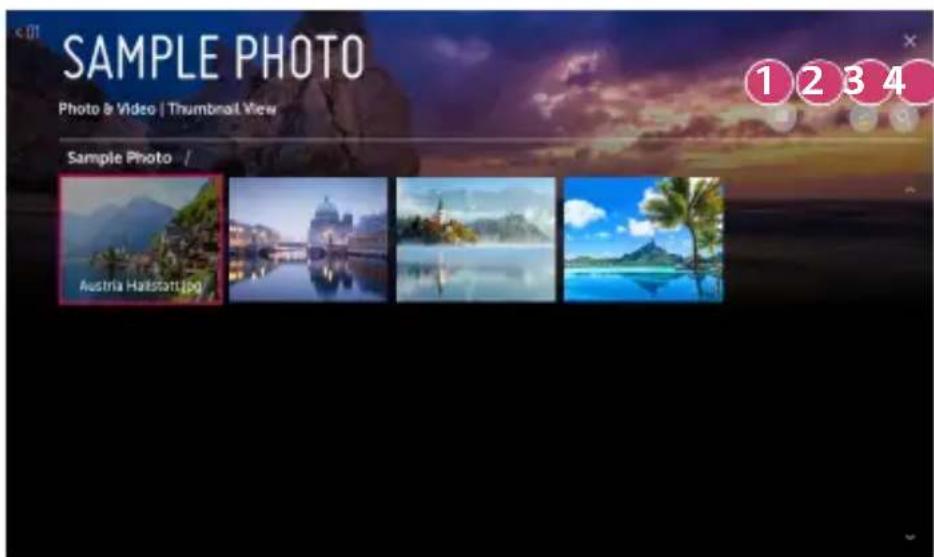 SAMPLE PHOTO Photo & Video | Thumbnail View Sample Photo / Austria Haistort.jpg