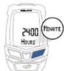 Blackburn Delphi 4.0 - PROGRAM TIME OF DAY - 4