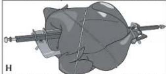 BLACK & DECKER CTO7100BKT - ROTISSERIE COOKING (G): - 2