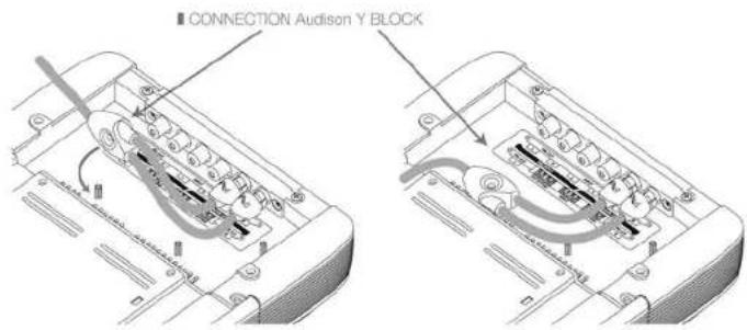 ■ CONNECTION AUDISON Y BLOCK
