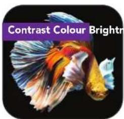 Contrast Colour Bright
