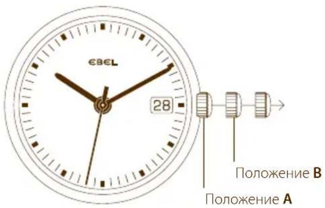 EBEL 28 Положение В Положение А