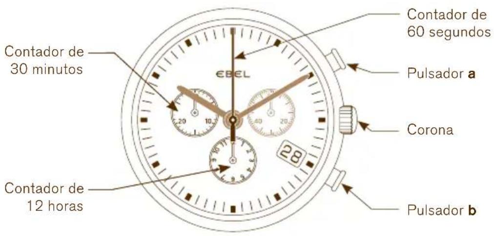Contador de 30 minutos Contador de 12 horas EBEL Contador de 60 segundos Pulsador a Corona Pulsador b