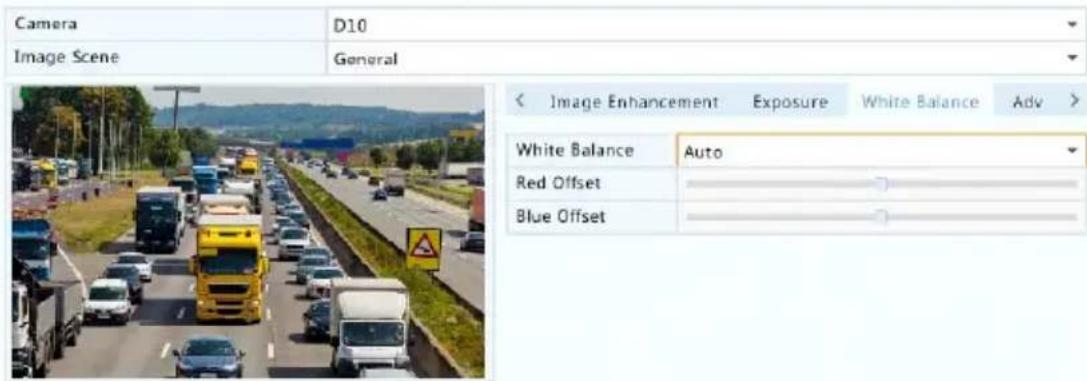 Camera D10 Image Scene General < Image Enhancement Exposure White Balance Adv > White Balance Auto Red Offset Blue Offset