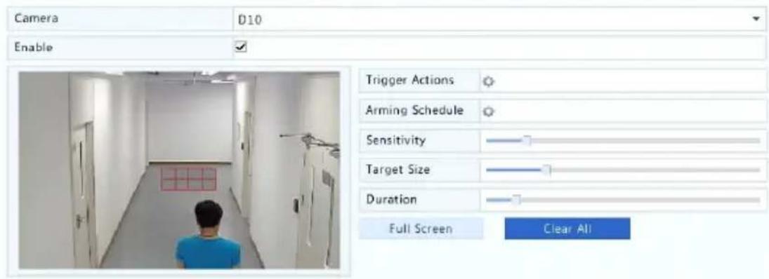 Camera D10 Enable Trigger Actions Arming Schedule Sensitivity Target Size Duration Full Screen Clear All