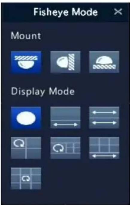 Fisheye Mode Mount Display Mode
