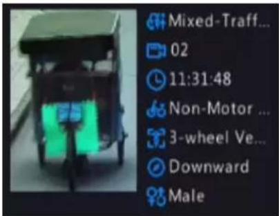 Mixed-Traff... 02 11:31:48 Non-Motor ... 3-wheel Ve... Downward Male