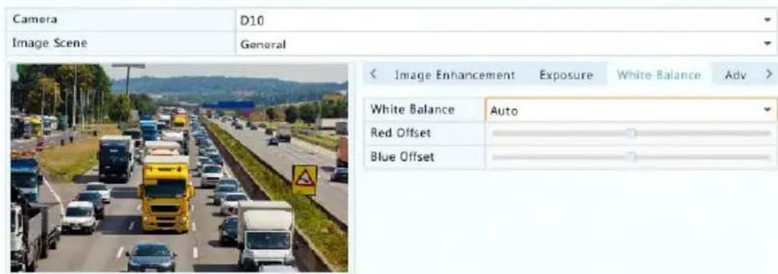 Camera D10 Image Scene General < Image Enhancement Exposure White Balance Adv > White Balance Auto Red Offset Blue Offset