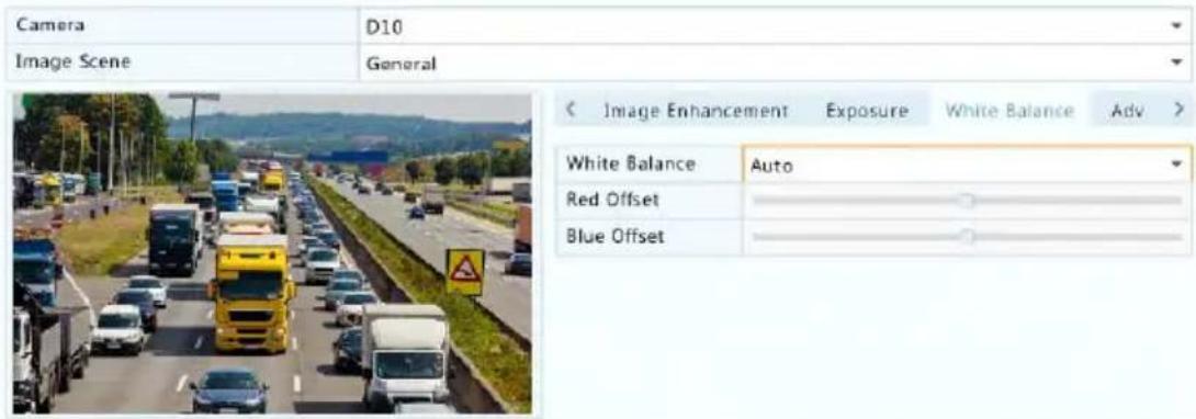 Camera D10 Image Scene General < Image Enhancement Exposure White Balance Adv > White Balance Auto Red Offset Blue Offset