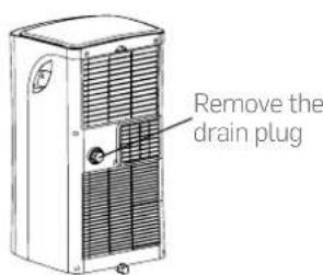Remove the drain plug