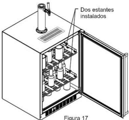Dos estantes instalados Figura 17