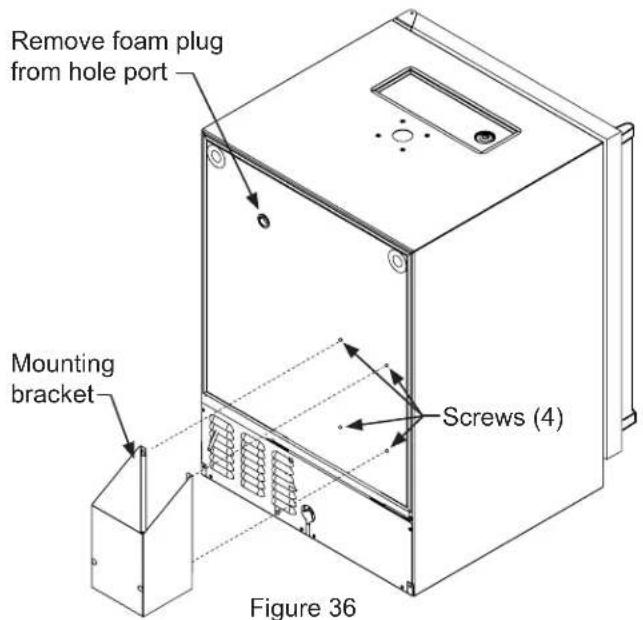 Remove foam plug from hole port Mounting bracket Screws (4) Figure 36