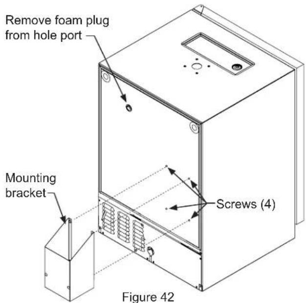Remove foam plug from hole port Mounting bracket Screws (4) Figure 42