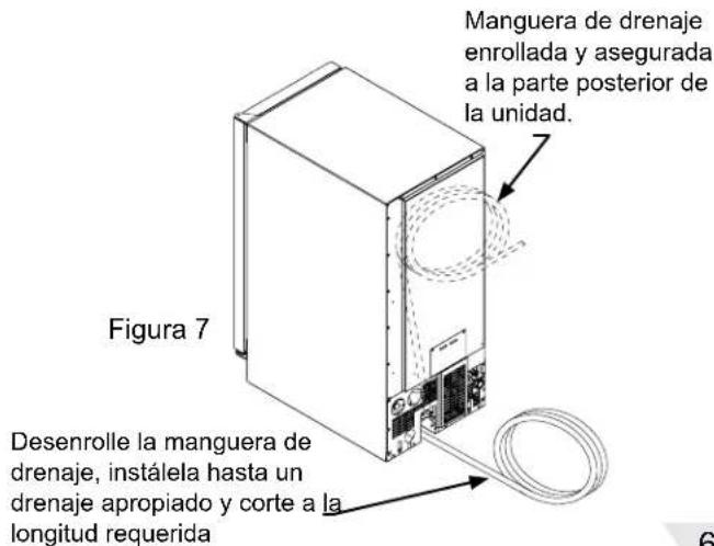 Manguera de drenaje enrollada y asegurada a la parte posterior de la unidad. Figura 7 Desenrolle la manguera de drenaje, instálela hasta un drenaje apropiado y corte a la longitud requerida