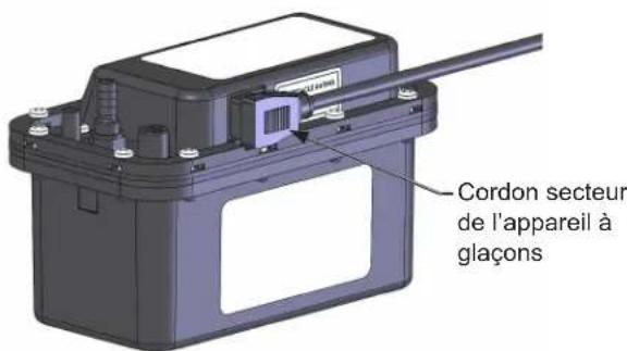 Cordon secteur de l'appareil à glaçons
