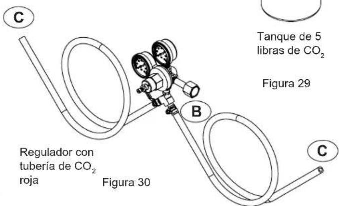 C Tanque de 5 libras de CO₂ Figura 29 B Regulador con tubería de CO₂ roja Figura 30 C