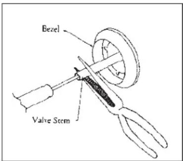 Bezel Valve Stem