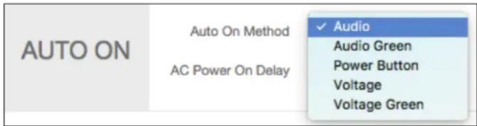 AUTO ON Auto On Method AC Power On Delay ✓ Audio Audio Green Power Button Voltage Voltage Green