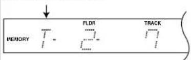 MEMORY FLDR TRACK