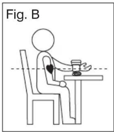 Fig. B