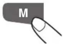 Walgreens WGNBPW-520 - RECALLING VALUES FROM MEMORY - 3