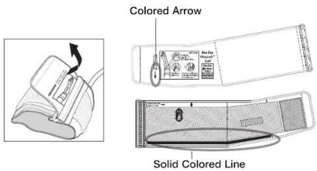 Colored Arrow Solid Colored Line