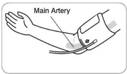 Main Artery
