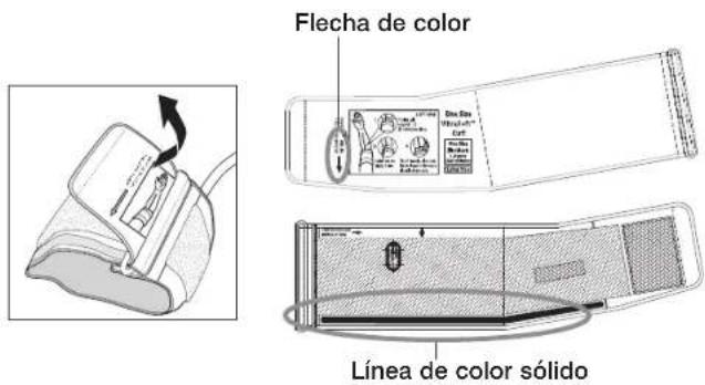 Flecha de color Línea de color sólido