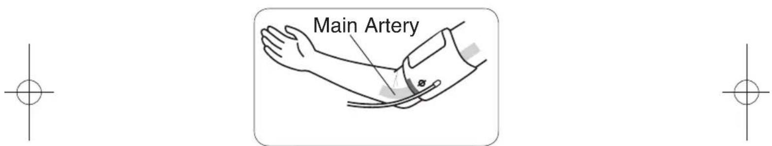 Main Artery
