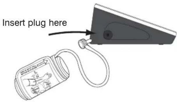 Insert plug here