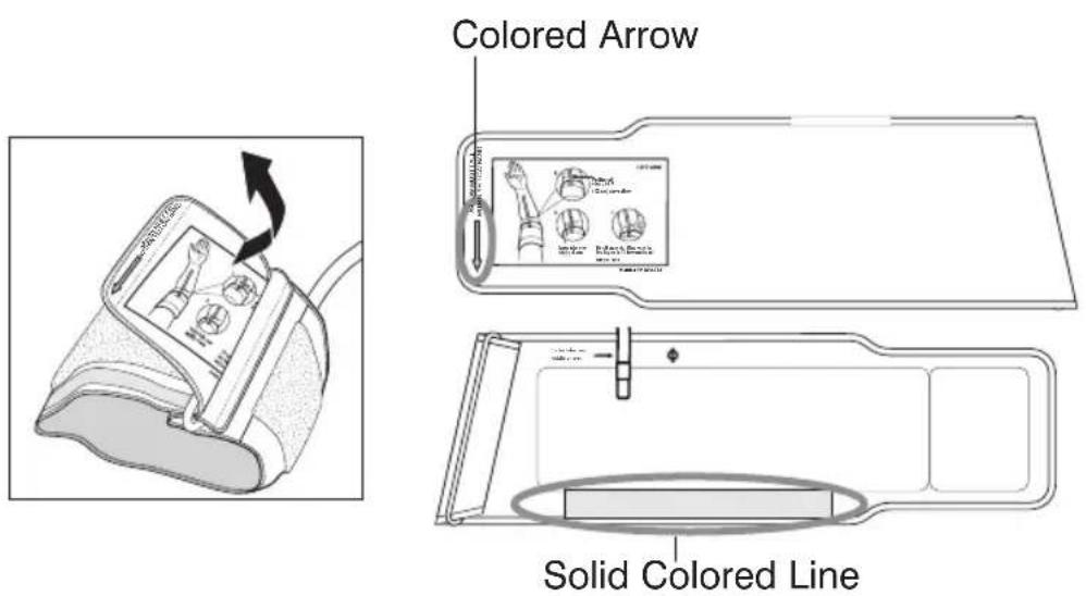 Colored Arrow Solid Colored Line