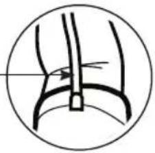 Walgreens WGNBPA-750 - USO DEL BRAZALLETE - 4