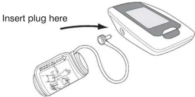 Insert plug here