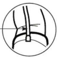 Walgreens WGNBPA-540 - USING THE ARM CUFF - 10