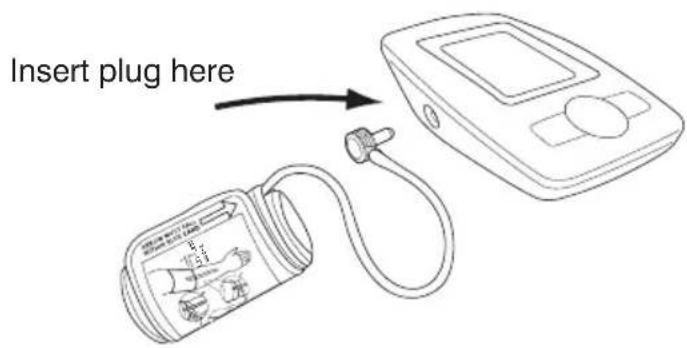 Insert plug here