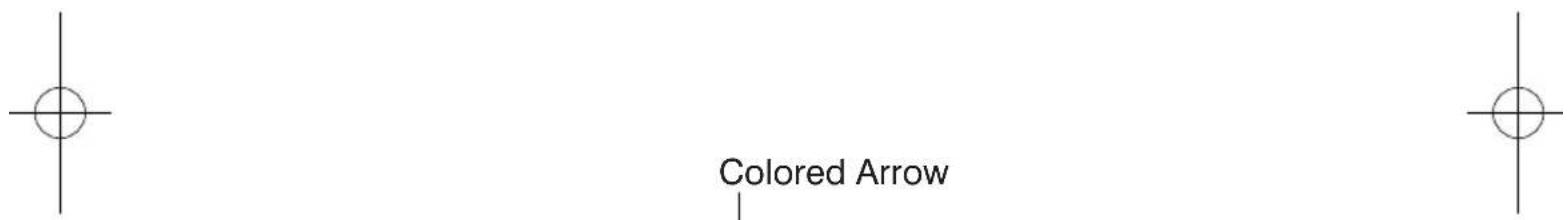 Colored Arrow