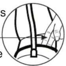 Walgreens WGNBPA-540 - USING THE ARM CUFF - 11