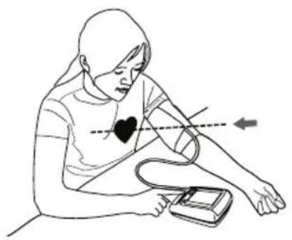 Walgreens WGNBPA-540 - USING THE ARM CUFF - 12