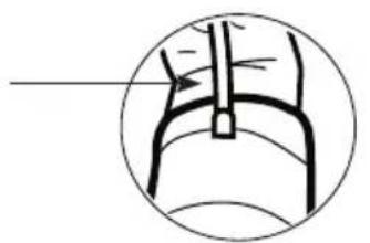 Walgreens WGNBPA-540 - USING THE ARM CUFF - 9