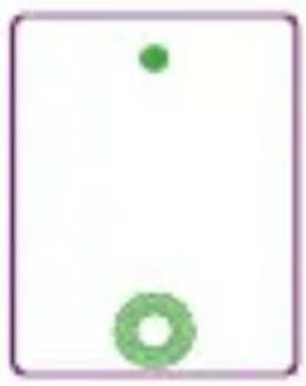 Simple diagram with a green dot and a green ring on a white background, enclosed in a purple border (no text or symbols)