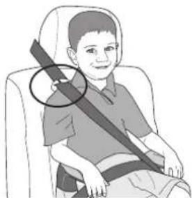 Evenflo Amp - Using the Amp ^TM Shoulder Belt Clip - 2