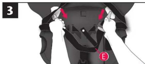 Evenflo Triumph - Know Your Lower Anchor Connector Assembly - 4