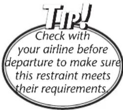 Check with your airline before departure to make sure this restraint meets their requirements.