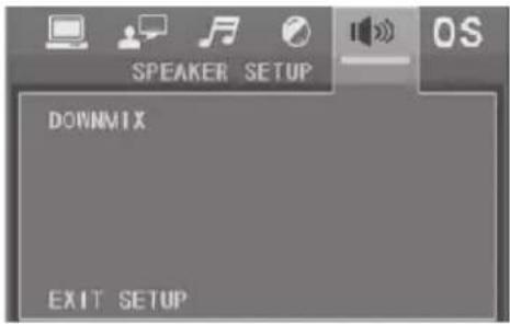 SPEAKER SETUP DOWNMIX EXIT SETUP