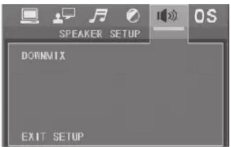 SPEAKER SETUP DOWNMIX EXIT SETUP
