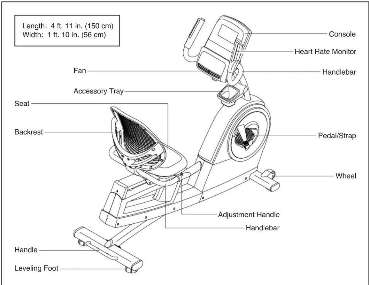 Length: 4 ft. 11 in. (150 cm) Width: 1 ft. 10 in. (56 cm) Console Heart Rate Monitor Handlebar Fan Accessory Tray Seat Backrest Pedal/Strap Wheel Adjustment Handle Handlebar Handle Leveling Foot