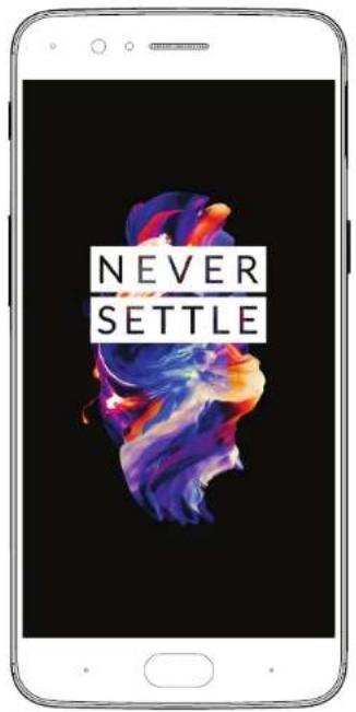 NEVER SETTLE