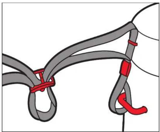 LEICA Trinovid - PREPARATION - 1