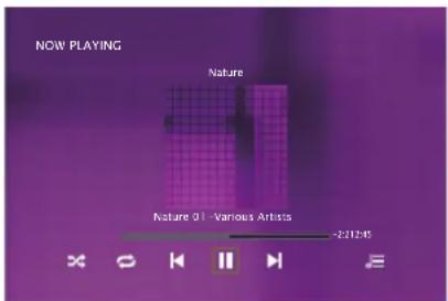 NOW PLAYING Nature Nature 01 - Various Artists -221245