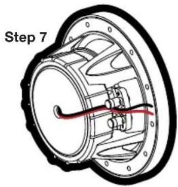 Step 7